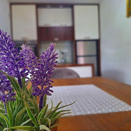 Apartman Kovaci 사라예보 외부 사진
